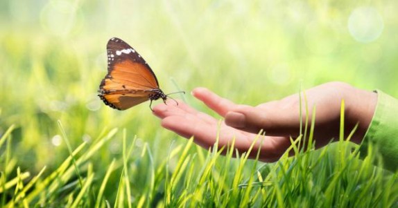 m aufbauseminar stufe2 energie intuition