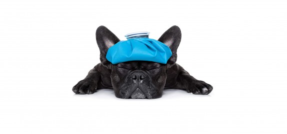 m should we fight laziness chronic fatigue